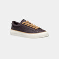 DR B33 Dark Chocolate Brown